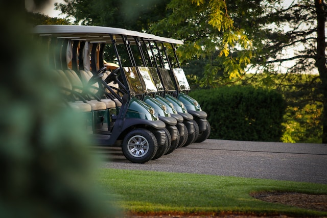 Soluzioni efficienti per la mobilità per aree di Villa di fascia alta: Buggy elettrico a 4 posti