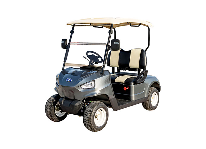 2 seater golf buggy for sale