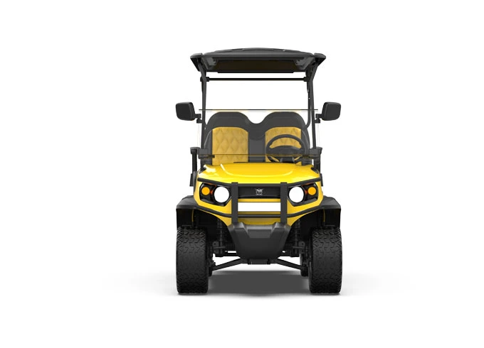 gfl 22 seater electric lifted golf cart 2